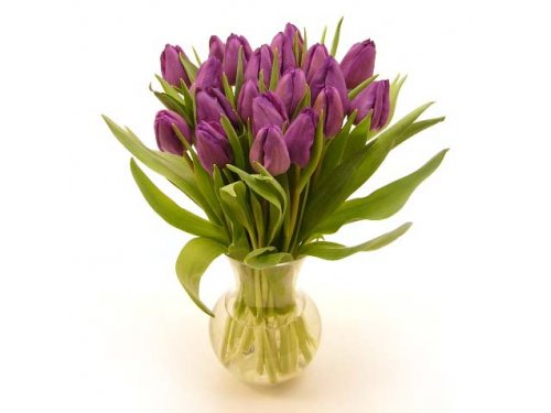  Букет фиолетовых тюльпанов №396