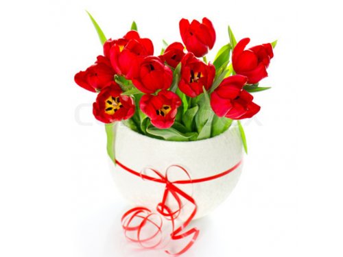Букет красных тюльпанов в коробочке №408